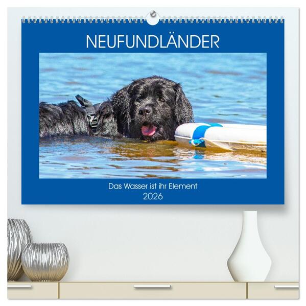 Neufundländer - Das Wasser ist ihr Element (hochwertiger Premium Wandkalender 2026 DIN A2 quer) Kunstdruck in Hochglanz