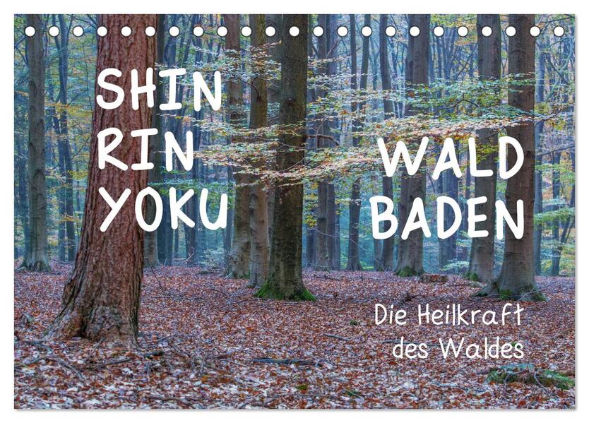 Shinrin yoku - Waldbaden 2026 (Tischkalender 2026 DIN A5 quer) CALVENDO Monatskalender