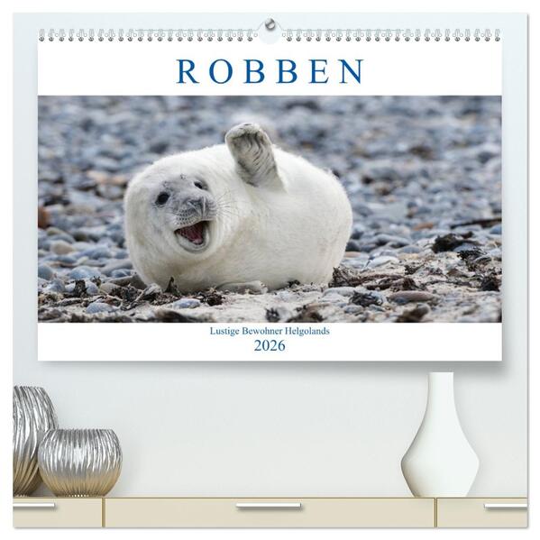 Robben - Lustige Bewohner Helgolands (hochwertiger Premium Wandkalender 2026 DIN A2 quer) Kunstdruck in Hochglanz