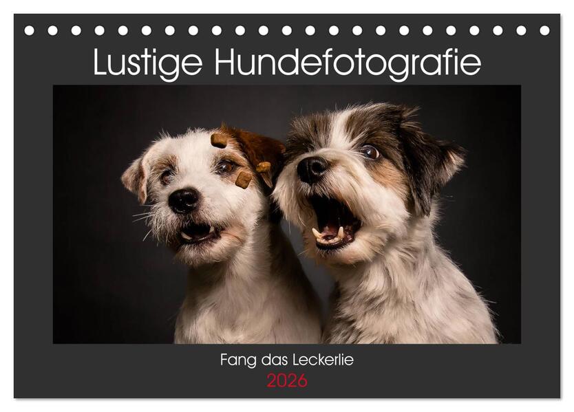 Fang das Leckerlie (Tischkalender 2026 DIN A5 quer) CALVENDO Monatskalender