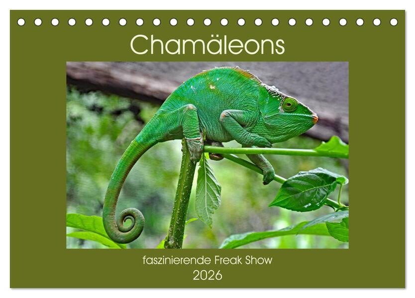 Chamäleons - faszinierende Freak Show (Tischkalender 2026 DIN A5 quer) CALVENDO Monatskalender
