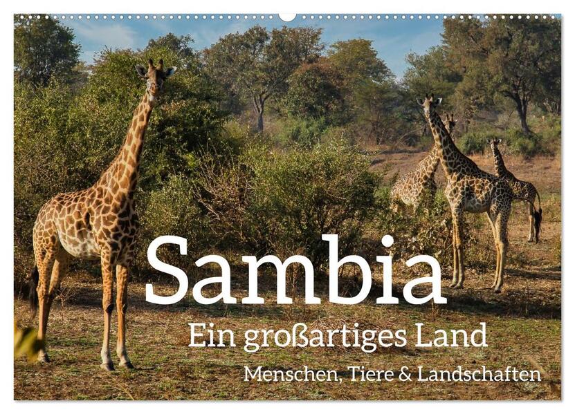 Sambia - ein großartiges Land (Wandkalender 2026 DIN A2 quer) CALVENDO Monatskalender