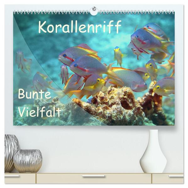 Bunte Vielfalt im Korallenriff (hochwertiger Premium Wandkalender 2026 DIN A2 quer) Kunstdruck in Hochglanz