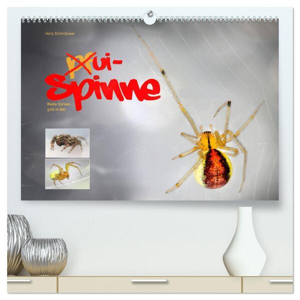 ui - Spinne. Kleine Spinnen - groß im Bild (hochwertiger Premium Wandkalender 2026 DIN A2 quer) Kunstdruck in Hochglanz
