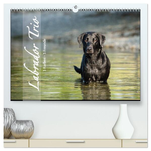 Labrador Trio - 3 Farben 3 Freunde (hochwertiger Premium Wandkalender 2026 DIN A2 quer) Kunstdruck in Hochglanz