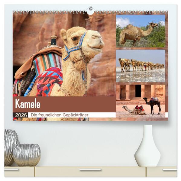 Kamele - Die freundlichen Gepäckträger (hochwertiger Premium Wandkalender 2026 DIN A2 quer) Kunstdruck in Hochglanz