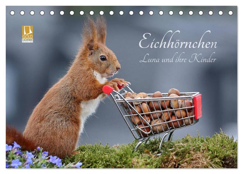 Eichhörnchen Luna und ihre Kinder (Tischkalender 2026 DIN A5 quer) CALVENDO Monatskalender