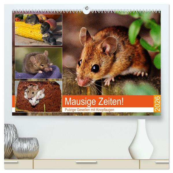 Mausige Zeiten! Putzige Gesellen mit Knopfaugen (hochwertiger Premium Wandkalender 2026 DIN A2 quer) Kunstdruck in Hochglanz