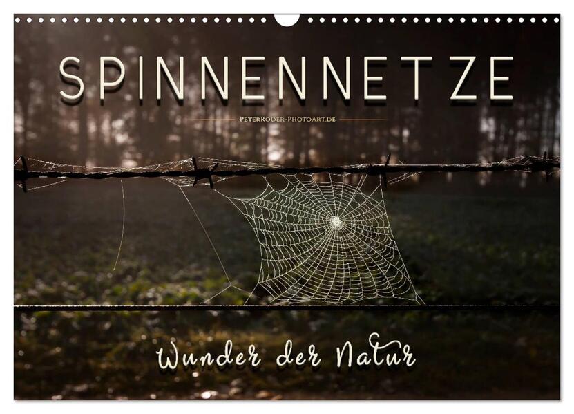Spinnennetze - Wunder der Natur (Wandkalender 2026 DIN A3 quer) CALVENDO Monatskalender