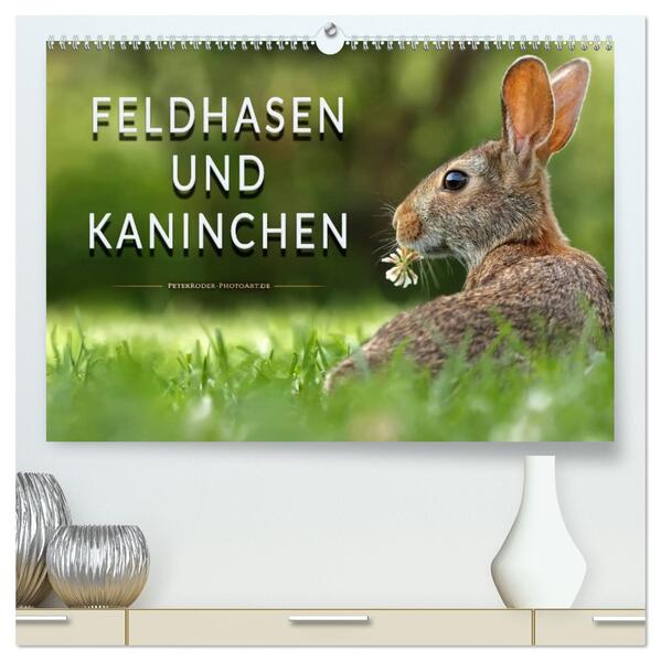 Feldhasen und Kaninchen (hochwertiger Premium Wandkalender 2026 DIN A2 quer) Kunstdruck in Hochglanz