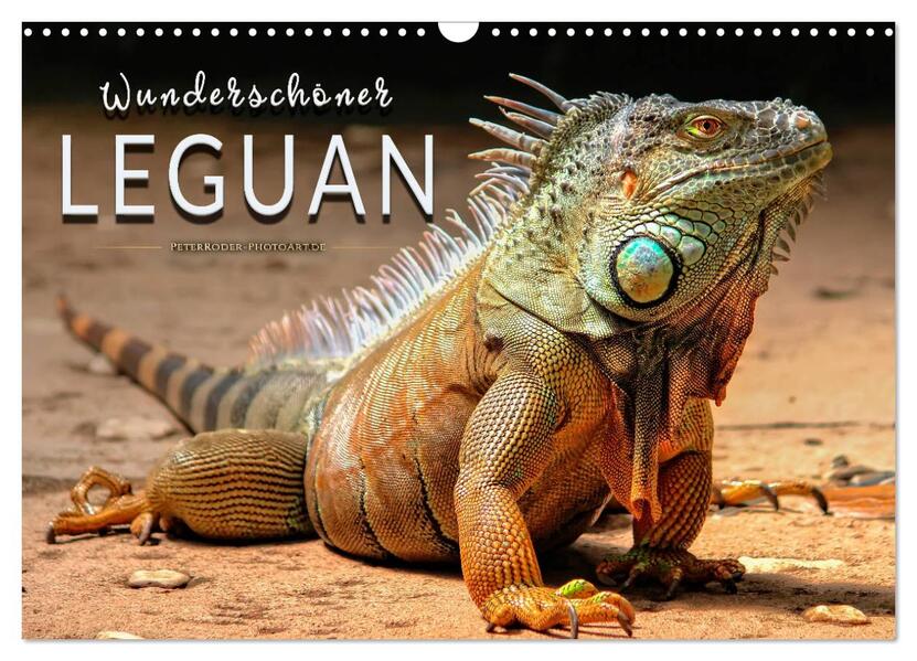 Wunderschöner Leguan (Wandkalender 2026 DIN A3 quer) CALVENDO Monatskalender