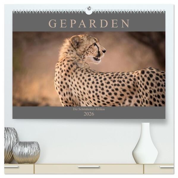 Geparden - Die Schönheiten Afrikas (hochwertiger Premium Wandkalender 2026 DIN A2 quer) Kunstdruck in Hochglanz