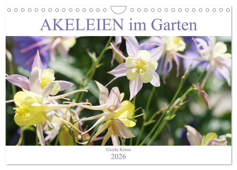 Akeleien im Garten (Wandkalender 2026 DIN A4 quer) CALVENDO Monatskalender