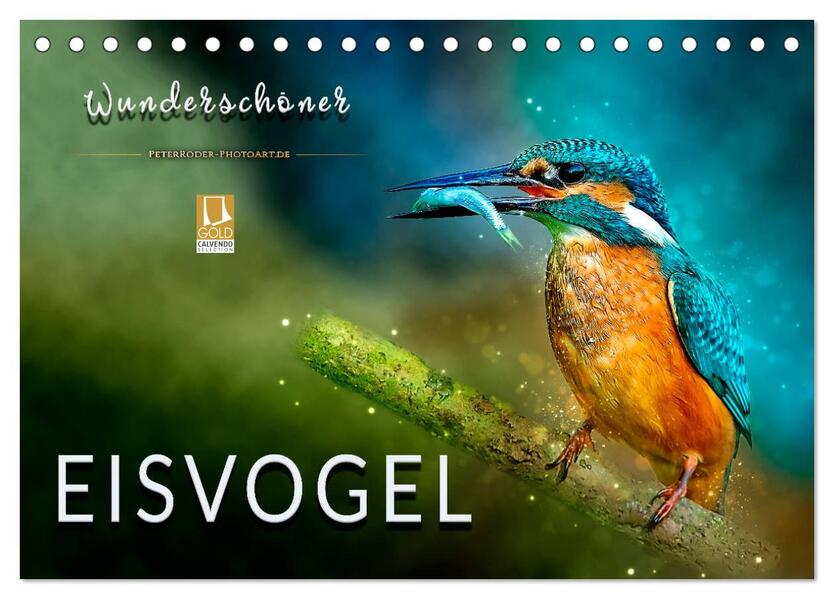 Wunderschöner Eisvogel (Tischkalender 2026 DIN A5 quer) CALVENDO Monatskalender