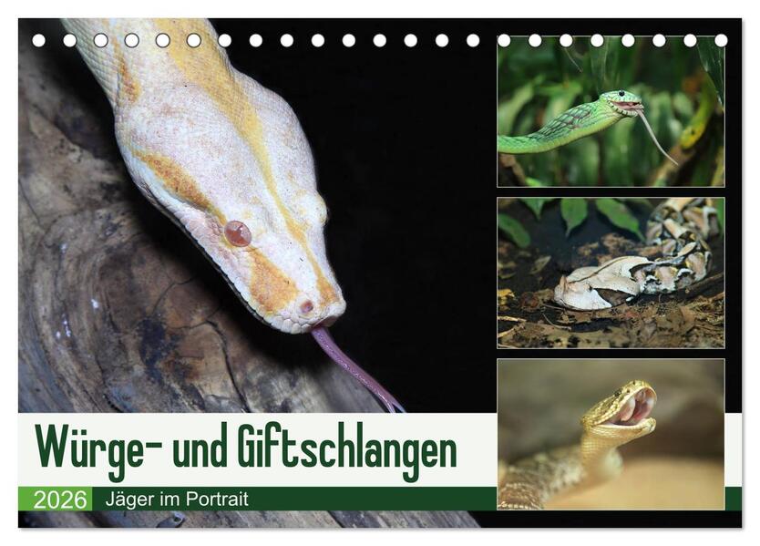 Würge- und Giftschlangen (Tischkalender 2026 DIN A5 quer) CALVENDO Monatskalender