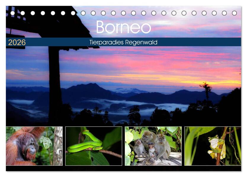 Borneo - Tierparadies Regenwald (Tischkalender 2026 DIN A5 quer) CALVENDO Monatskalender