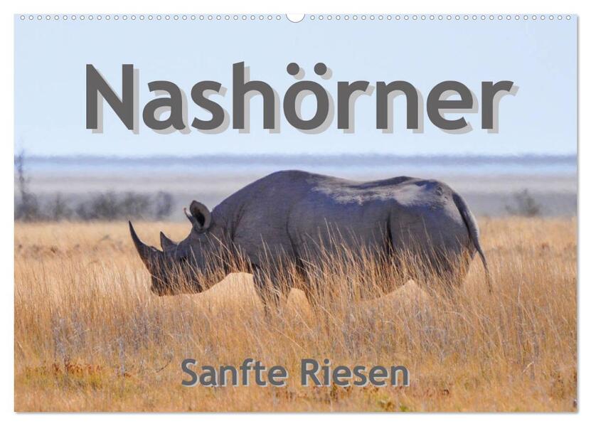 Nashörner - Sanfte Riesen (Wandkalender 2026 DIN A2 quer) CALVENDO Monatskalender