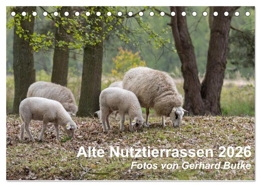 Alte Nutztierrassen 2026 (Tischkalender 2026 DIN A5 quer) CALVENDO Monatskalender