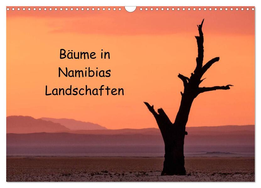 Bäume in Namibias Landschaften (Wandkalender 2026 DIN A3 quer) CALVENDO Monatskalender