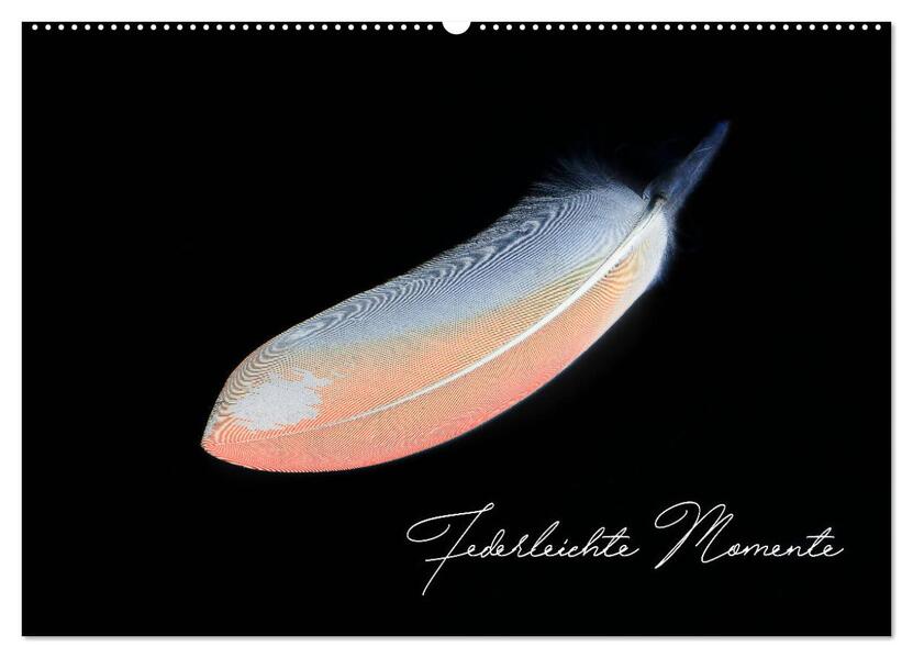 Federleichte Momente (Wandkalender 2026 DIN A2 quer) CALVENDO Monatskalender
