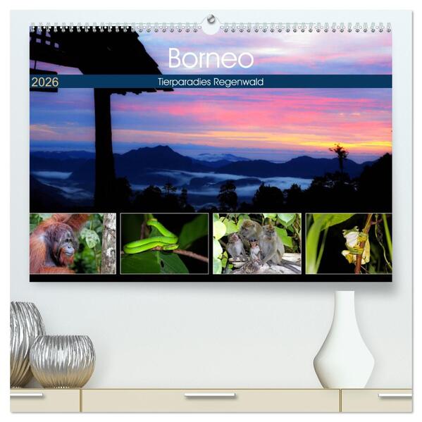 Borneo - Tierparadies Regenwald (hochwertiger Premium Wandkalender 2026 DIN A2 quer) Kunstdruck in Hochglanz