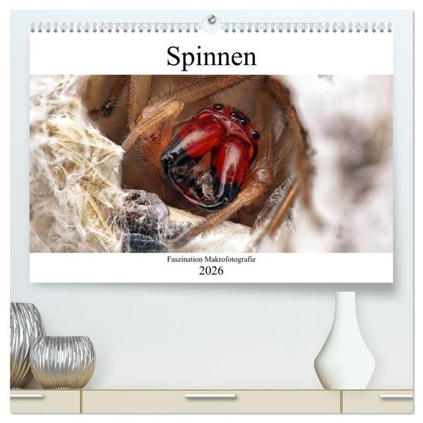 Faszination Makrofotografie: Spinnen (hochwertiger Premium Wandkalender 2026 DIN A2 quer) Kunstdruck in Hochglanz
