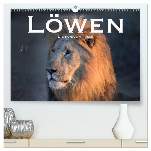 Löwen. Die Könige Afrikas (hochwertiger Premium Wandkalender 2026 DIN A2 quer) Kunstdruck in Hochglanz