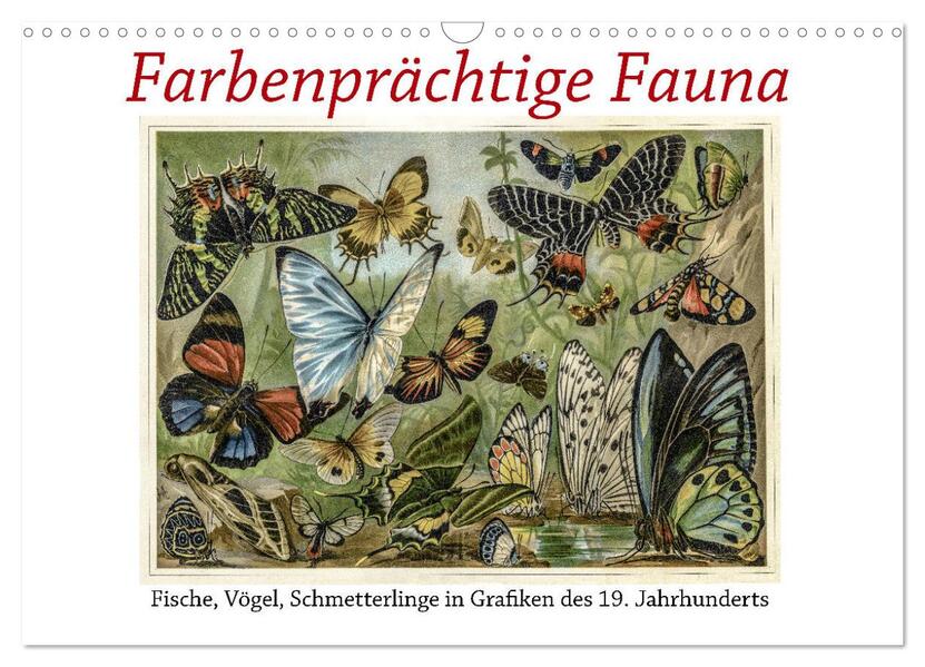 Farbenprächtige Fauna. Fische Vögel Schmetterlinge in Grafiken des 19 Jahrhunderts (Wandkalender 2026 DIN A3 quer) CALVENDO Monatskalender