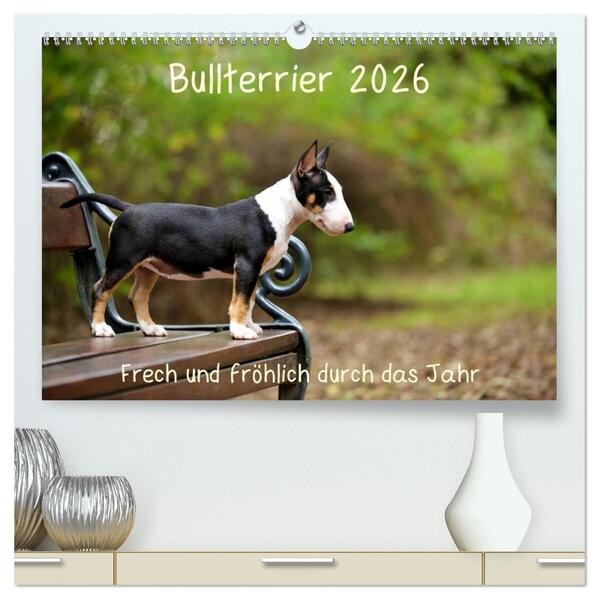 Bullterrier 2026 Frech und fröhlich durch das Jahr (hochwertiger Premium Wandkalender 2026 DIN A2 quer) Kunstdruck in Hochglanz