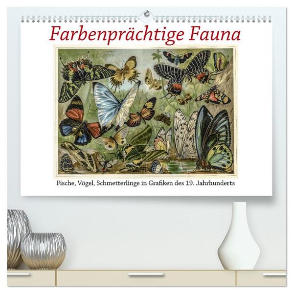 Farbenprächtige Fauna. Fische Vögel Schmetterlinge in Grafiken des 19 Jahrhunderts (hochwertiger Premium Wandkalender 2026 DIN A2 quer) Kunstdruck in Hochglanz
