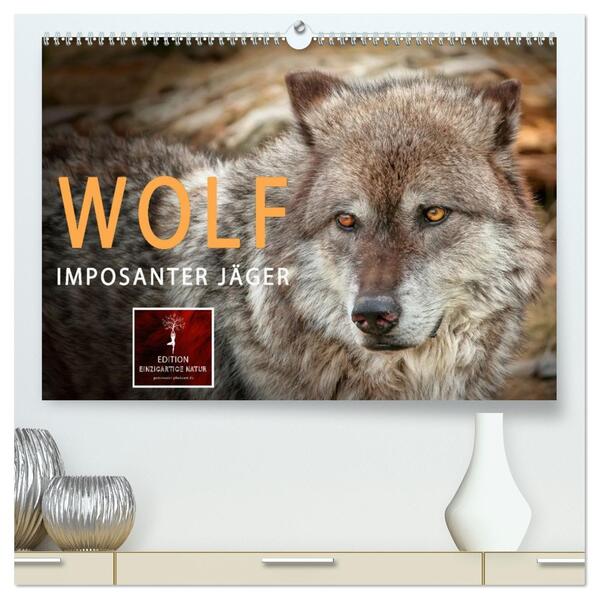 Wolf - Imposanter Jäger (hochwertiger Premium Wandkalender 2026 DIN A2 quer) Kunstdruck in Hochglanz