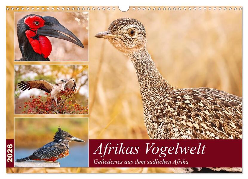 Afrikas Vogelwelt 2026 (Wandkalender 2026 DIN A3 quer) CALVENDO Monatskalender