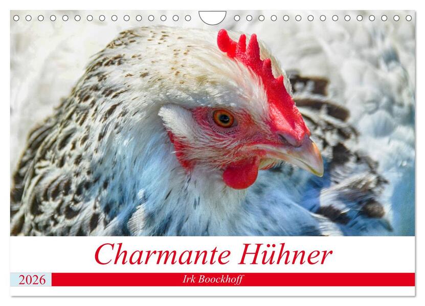 Charmante Hühner (Wandkalender 2026 DIN A4 quer) CALVENDO Monatskalender