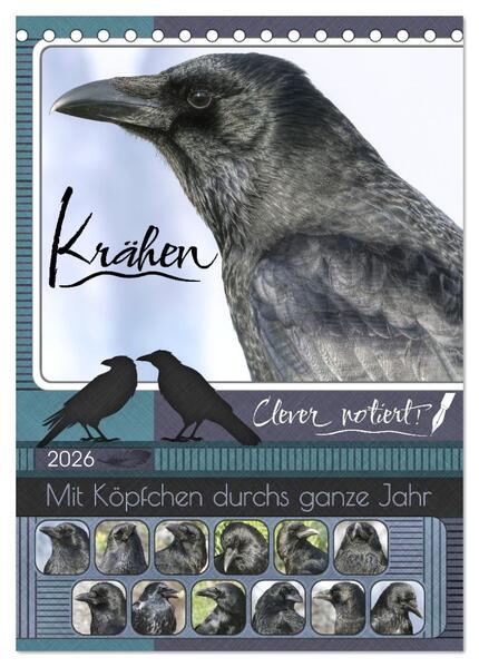 Krähen - Clever notiert! Mit Köpfchen durchs ganze Jahr (Tischkalender 2026 DIN A5 hoch) CALVENDO Monatskalender