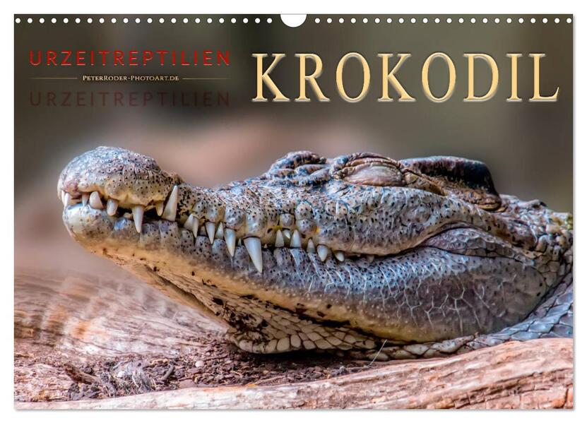 Urzeitreptilien - Krokodil (Wandkalender 2026 DIN A3 quer) CALVENDO Monatskalender