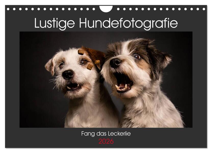 Fang das Leckerlie (Wandkalender 2026 DIN A4 quer) CALVENDO Monatskalender