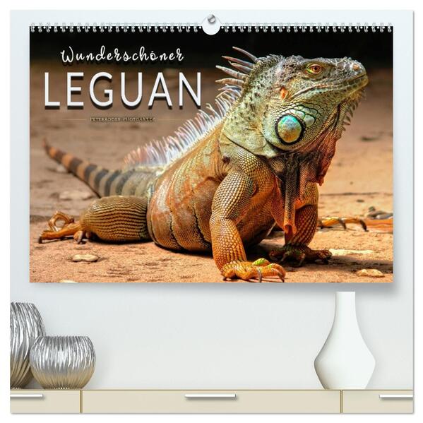 Wunderschöner Leguan (hochwertiger Premium Wandkalender 2026 DIN A2 quer) Kunstdruck in Hochglanz