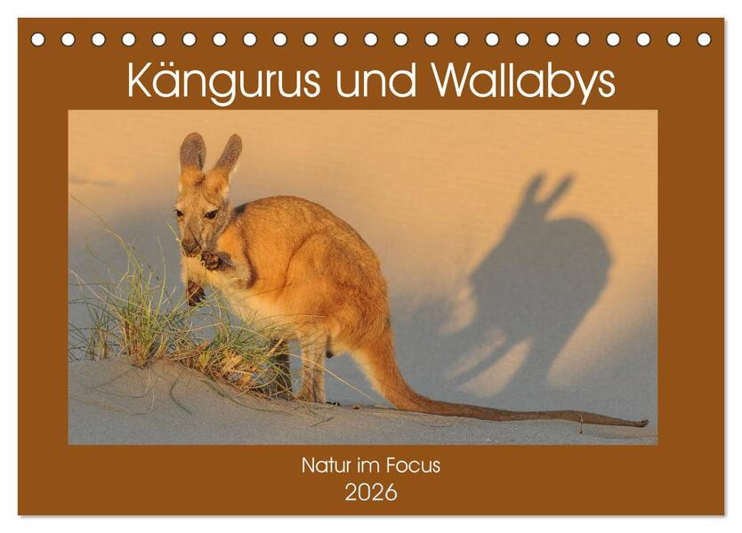 Kängururs und Wallabys (Tischkalender 2026 DIN A5 quer) CALVENDO Monatskalender