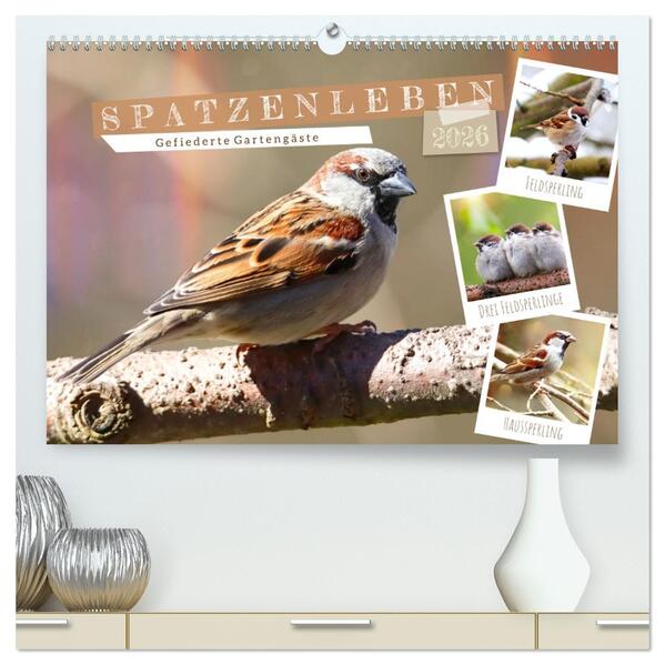 Gefiederte Gartengäste Spatzenleben (hochwertiger Premium Wandkalender 2026 DIN A2 quer) Kunstdruck in Hochglanz