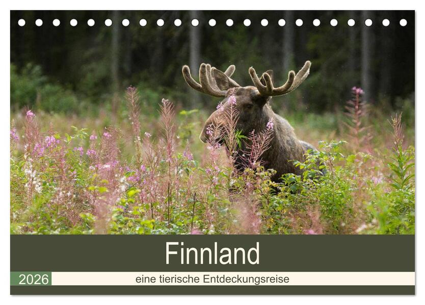 Finnland: eine tierische Entdeckungsreise (Tischkalender 2026 DIN A5 quer) CALVENDO Monatskalender