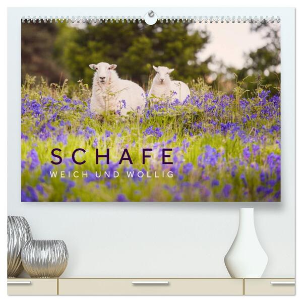 Schafe - Weich und wollig (hochwertiger Premium Wandkalender 2026 DIN A2 quer) Kunstdruck in Hochglanz
