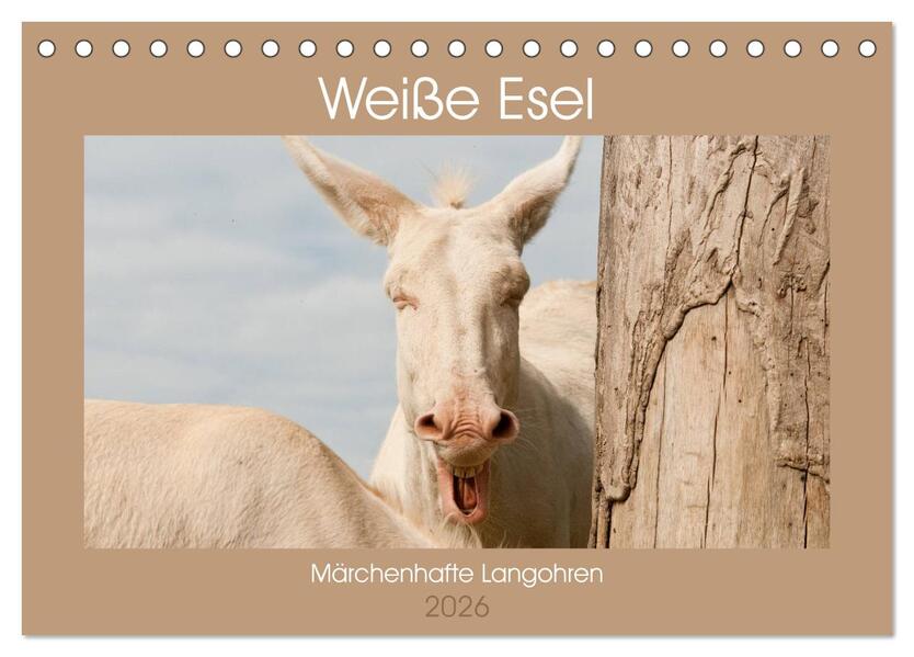 Weiße Esel - Märchenhafte Langohren (Tischkalender 2026 DIN A5 quer) CALVENDO Monatskalender
