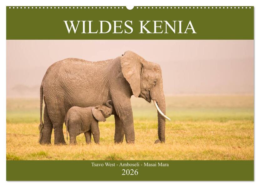 Wildes Kenia (Wandkalender 2026 DIN A2 quer) CALVENDO Monatskalender