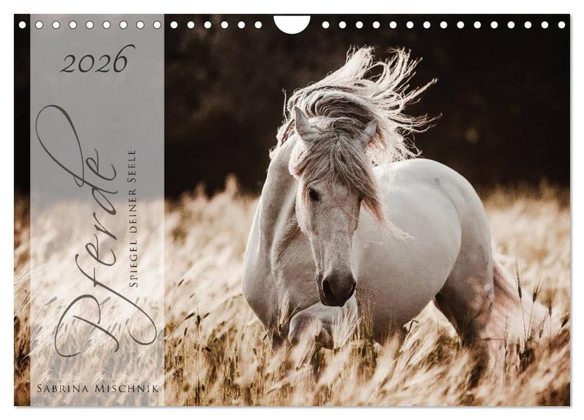 Pferde - Spiegel deiner Seele (Wandkalender 2026 DIN A4 quer) CALVENDO Monatskalender