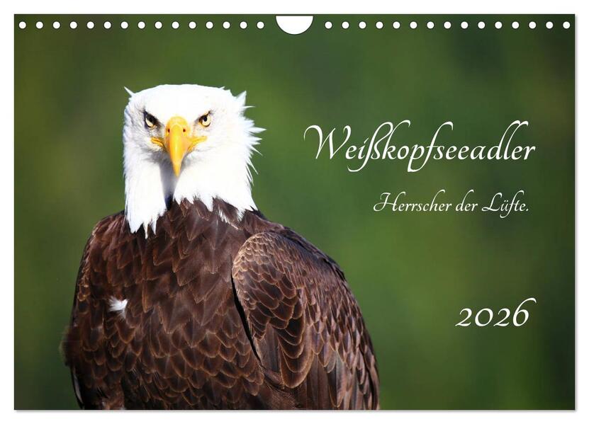 Weißkopfseeadler. Herrscher der Lüfte. 2026 (Wandkalender 2026 DIN A4 quer) CALVENDO Monatskalender
