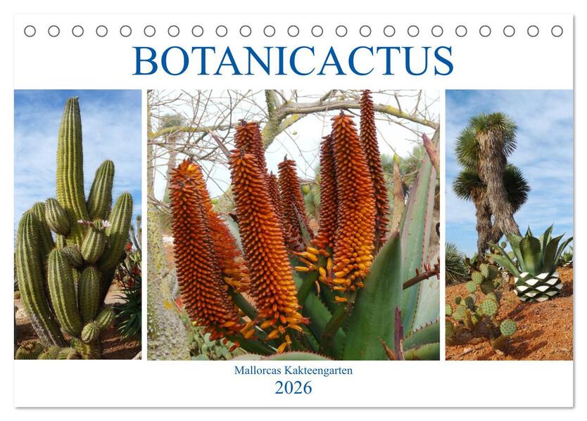 BOTANICACTUS Mallorcas Kakteengarten (Tischkalender 2026 DIN A5 quer) CALVENDO Monatskalender