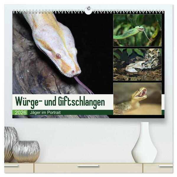 Würge- und Giftschlangen (hochwertiger Premium Wandkalender 2026 DIN A2 quer) Kunstdruck in Hochglanz