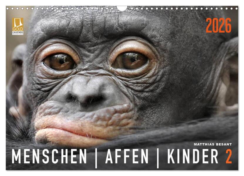 MENSCHENAFFENKINDER 2 (Wandkalender 2026 DIN A3 quer) CALVENDO Monatskalender