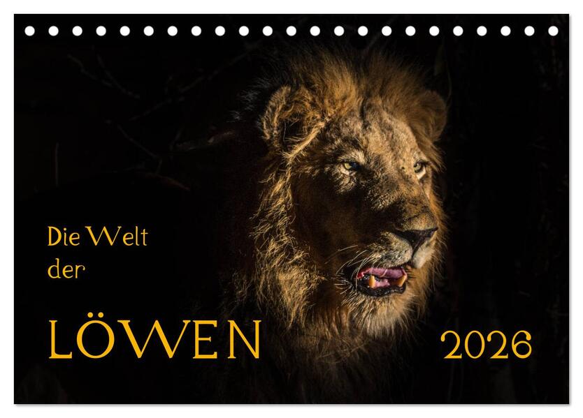 Die Welt der Löwen (Tischkalender 2026 DIN A5 quer) CALVENDO Monatskalender