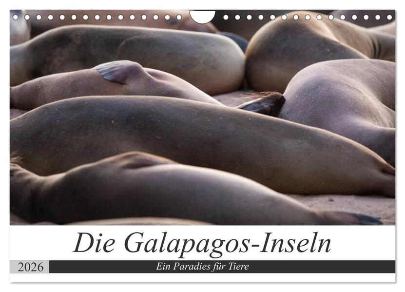 Galapagos-Inseln - Ein Paradies für Tiere (Wandkalender 2026 DIN A4 quer) CALVENDO Monatskalender